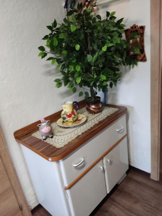 Ferienwohnung Französch Arnoldstein Exterior foto